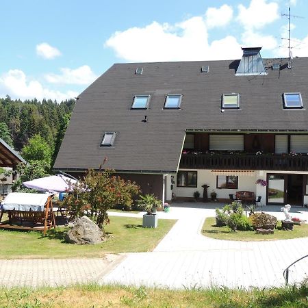 Apartamento Haus Ingeborg Dachsberg im Schwarzwald Exterior foto