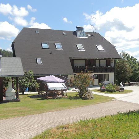 Apartamento Haus Ingeborg Dachsberg im Schwarzwald Exterior foto