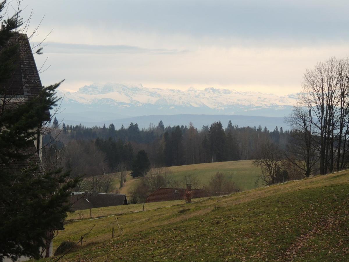 Apartamento Haus Ingeborg Dachsberg im Schwarzwald Exterior foto