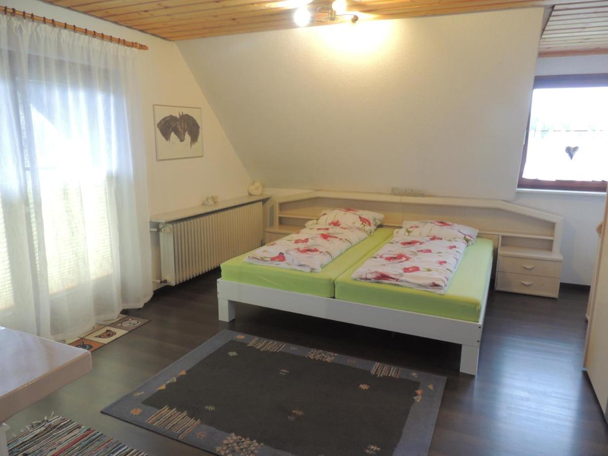 Apartamento Haus Ingeborg Dachsberg im Schwarzwald Exterior foto