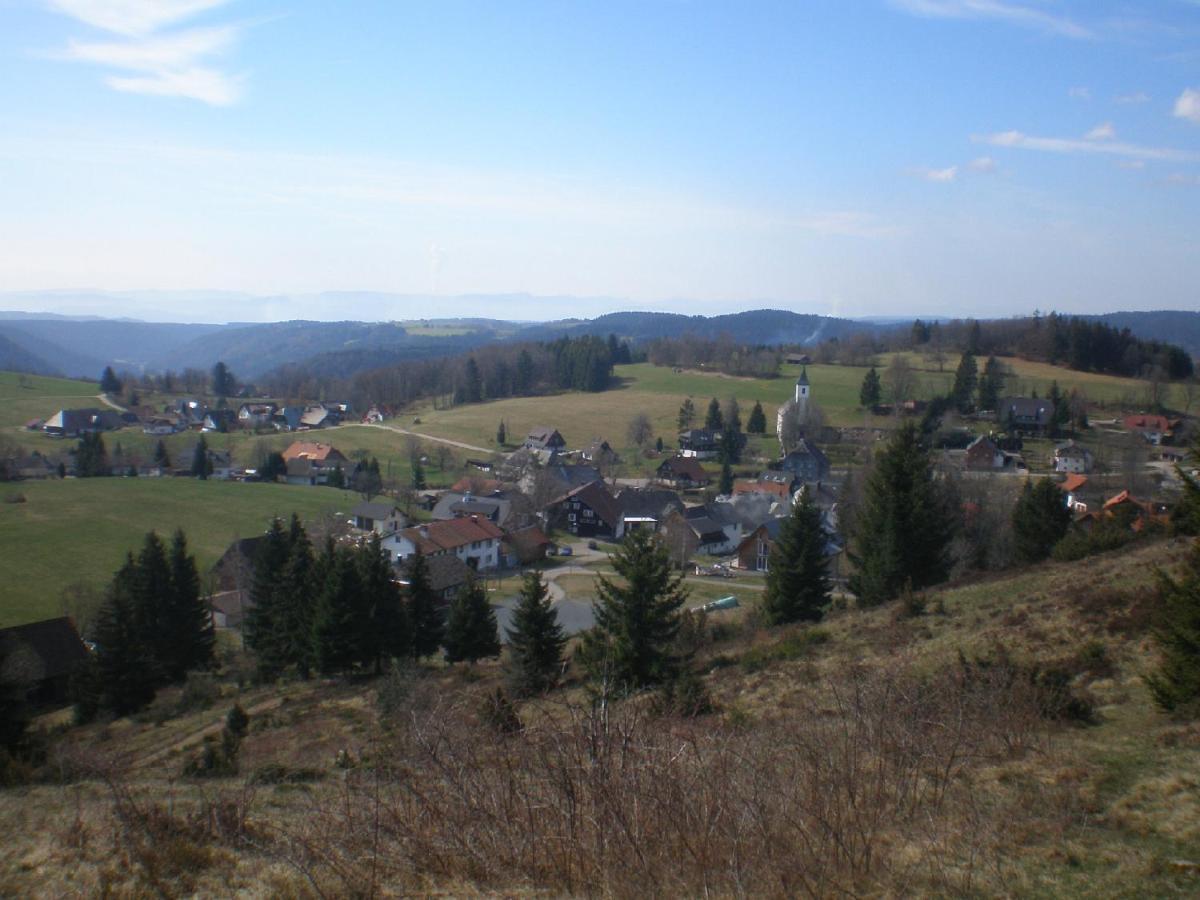 Apartamento Haus Ingeborg Dachsberg im Schwarzwald Exterior foto