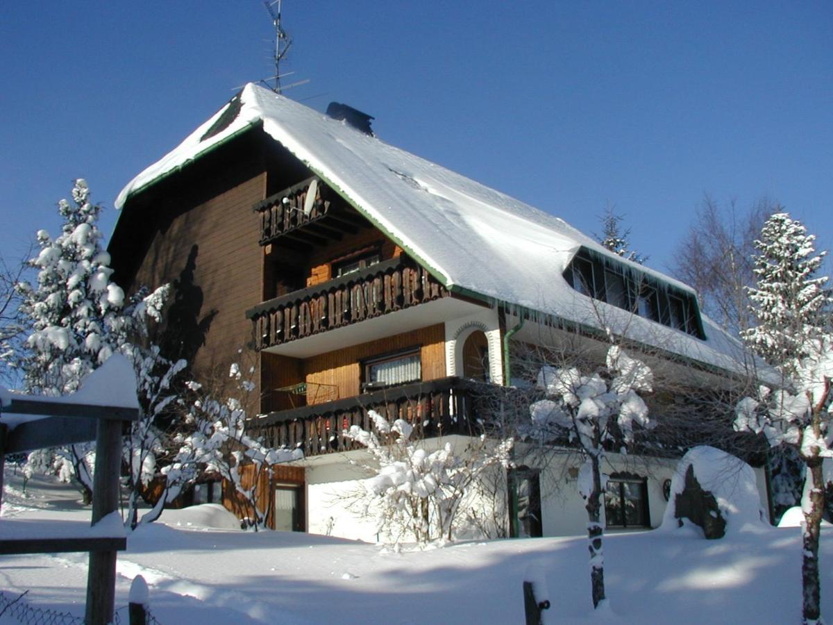 Apartamento Haus Ingeborg Dachsberg im Schwarzwald Exterior foto