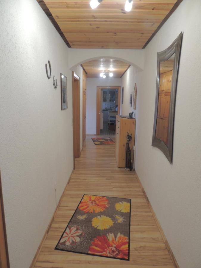 Apartamento Haus Ingeborg Dachsberg im Schwarzwald Exterior foto