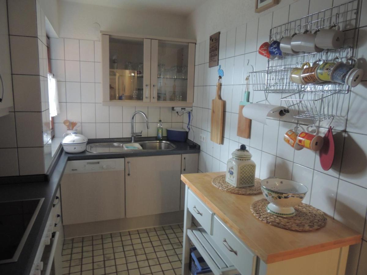 Apartamento Haus Ingeborg Dachsberg im Schwarzwald Exterior foto