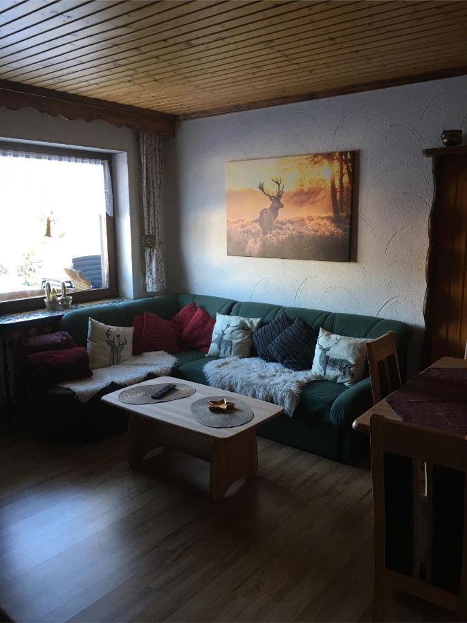 Apartamento Haus Ingeborg Dachsberg im Schwarzwald Exterior foto