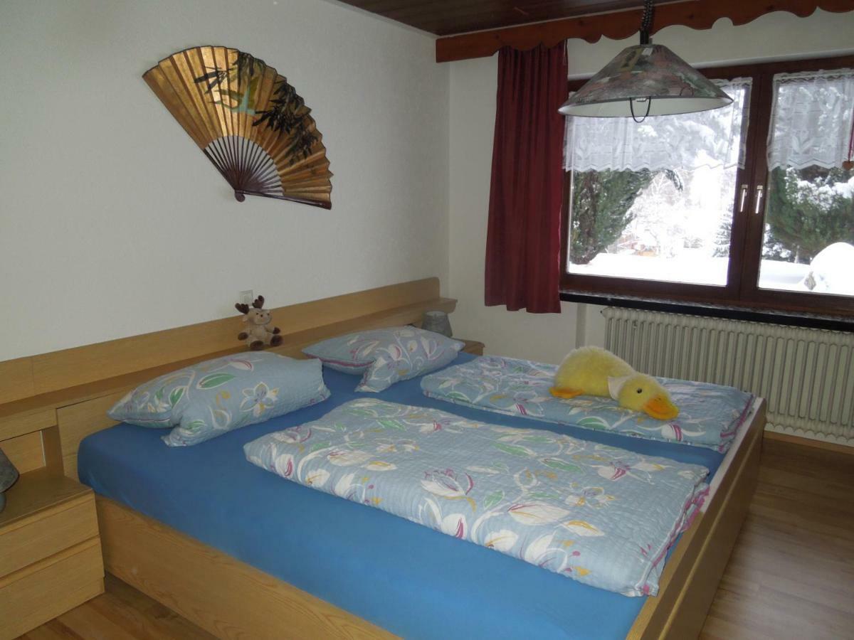 Apartamento Haus Ingeborg Dachsberg im Schwarzwald Exterior foto