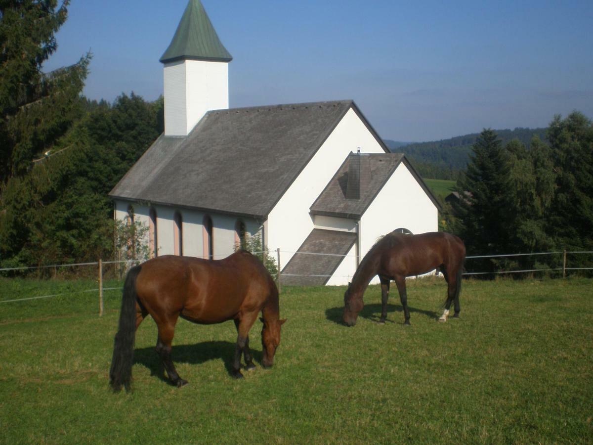 Apartamento Haus Ingeborg Dachsberg im Schwarzwald Exterior foto