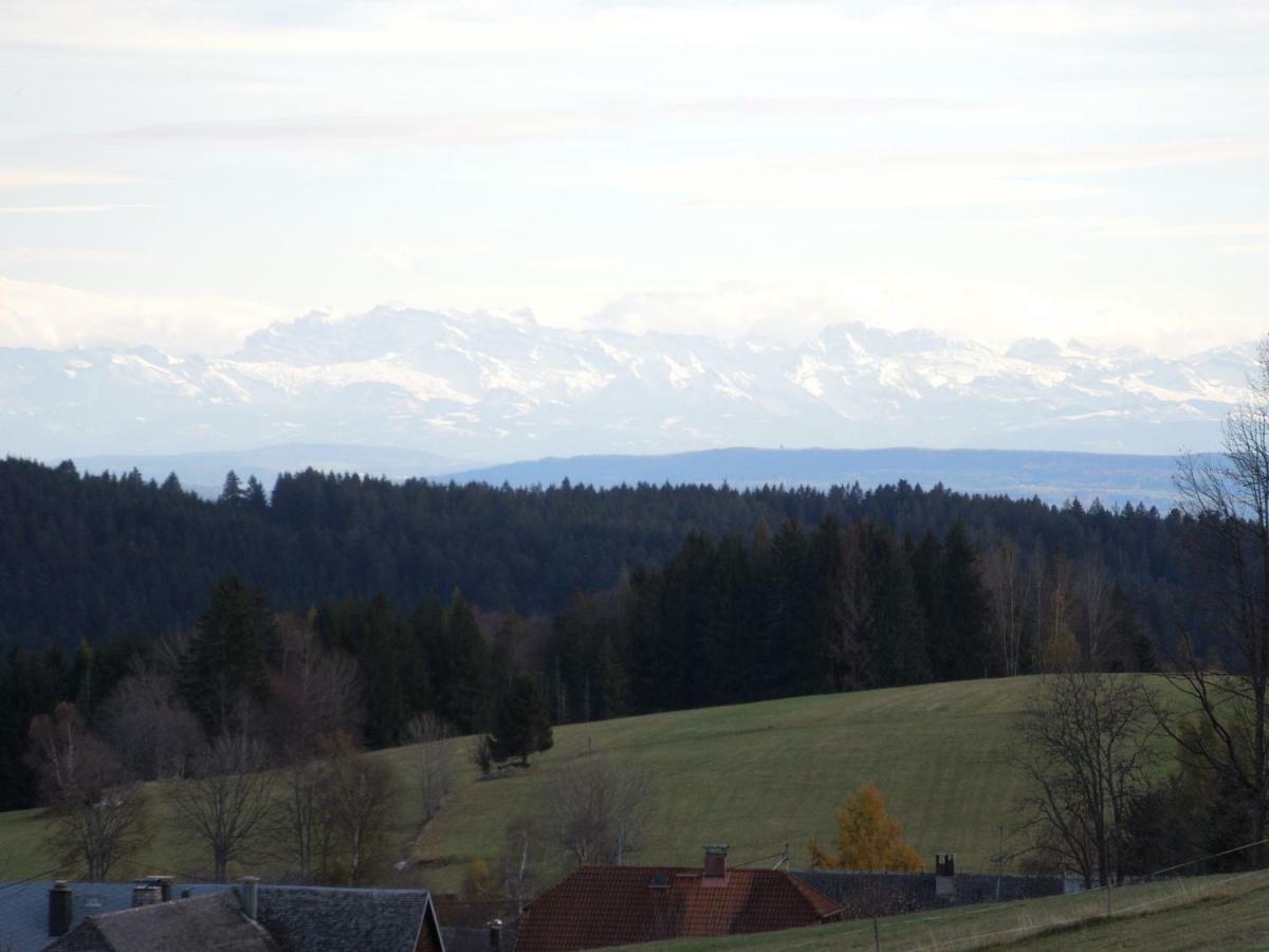 Apartamento Haus Ingeborg Dachsberg im Schwarzwald Exterior foto