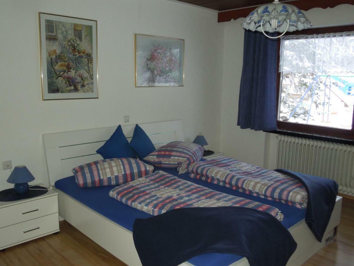 Apartamento Haus Ingeborg Dachsberg im Schwarzwald Exterior foto