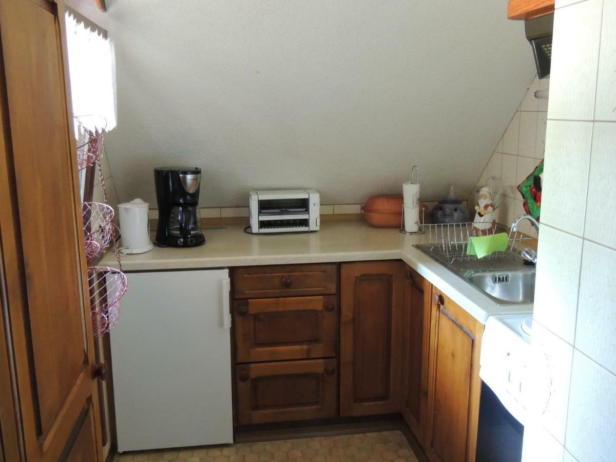 Apartamento Haus Ingeborg Dachsberg im Schwarzwald Exterior foto