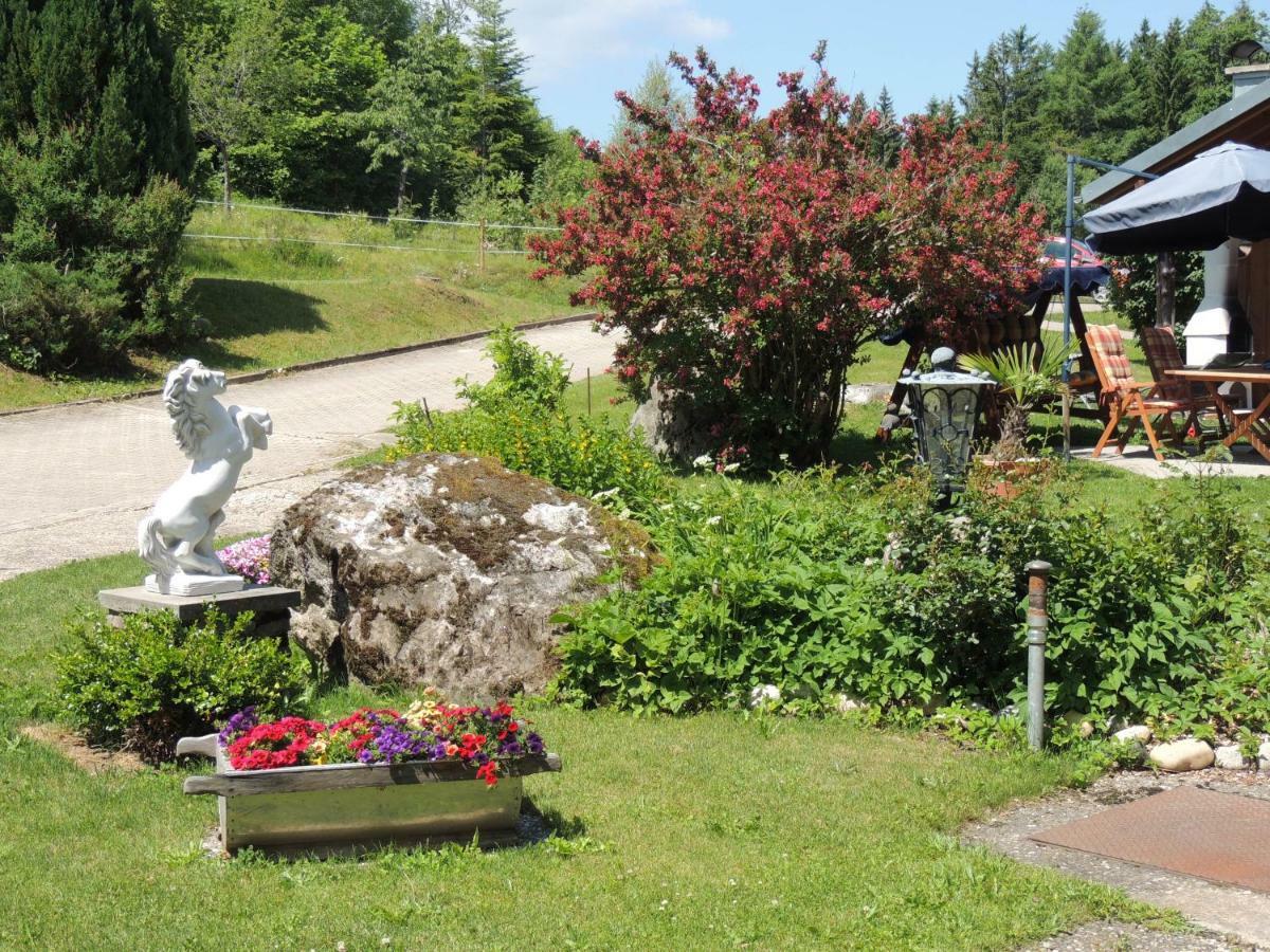 Apartamento Haus Ingeborg Dachsberg im Schwarzwald Exterior foto